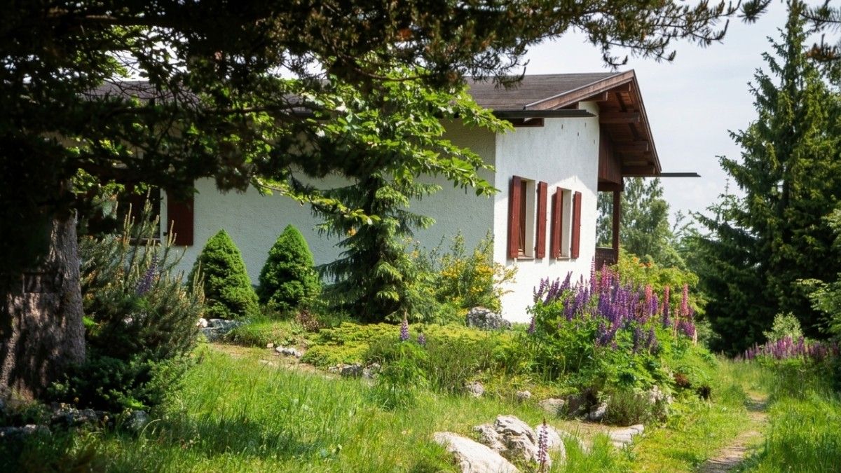 Steinwaldhütte