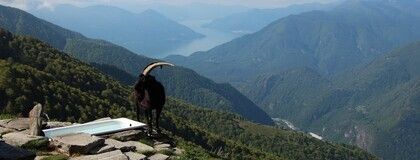Capanna Alpe Nimi