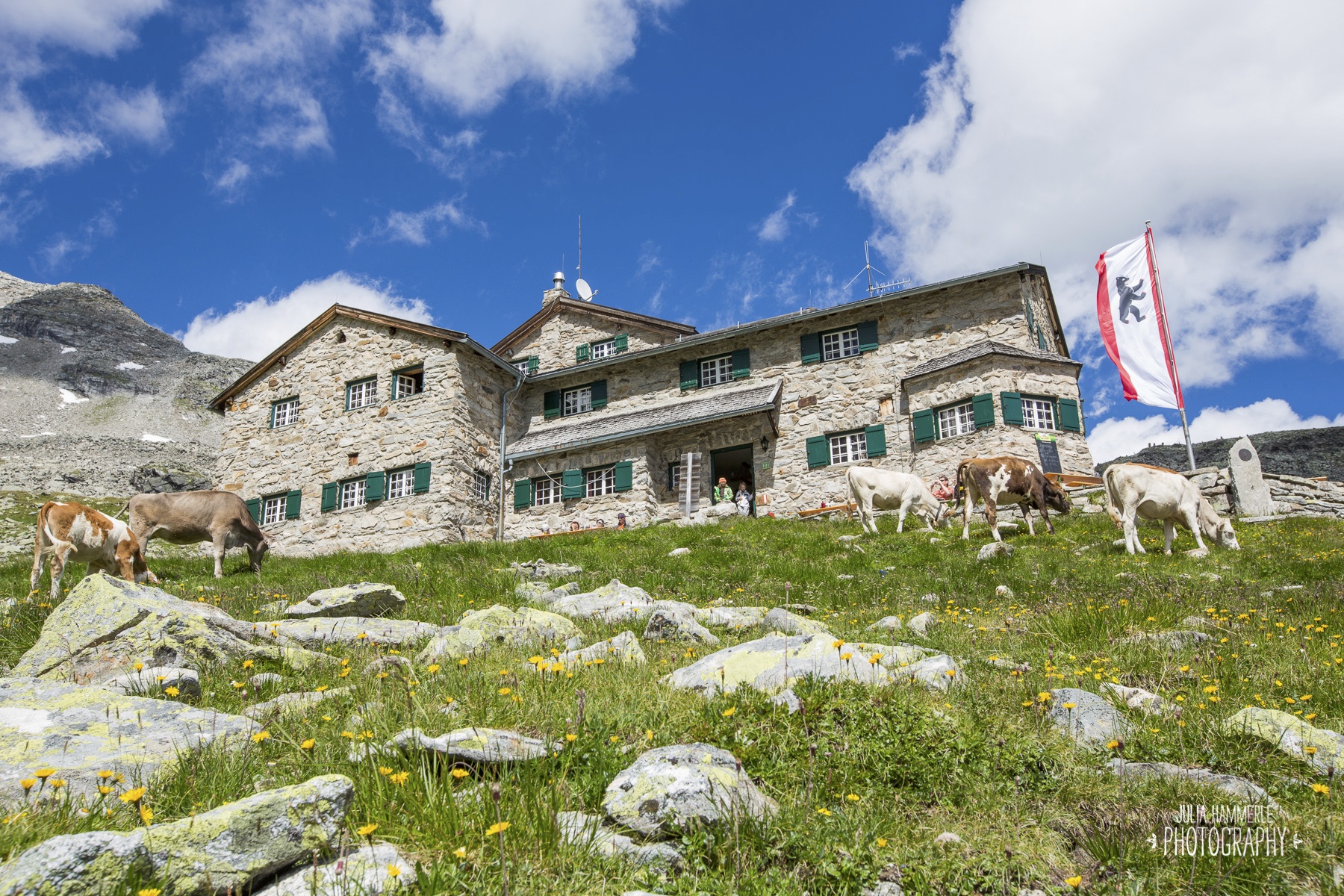 Friesenberghaus